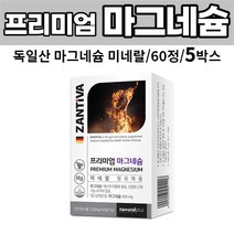 마그네숨 독일산마그네슘 산화마그네슘 미네랄함유, 60정, 5박스
