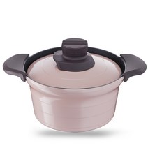 [테팔] 인덕션 냄비 편수 양수 전골냄비 모음 /택1, 16-트레져 IH 찌개냄비 20cm