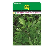 SN월드 씨앗 민속특수씨앗 약초 곰취 냉이 와송 삼채 더덕 도라지 당귀 잔디, 쑥