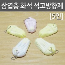 삼엽충 화석 석고방향제(5인)