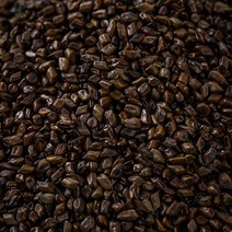 봉래 구수한 향 결명자 600g/한방/건강/약초/약재 식품 > 커피/차 티/전통차 기타전통차 기타전통차류, 600g, 1개, 600g” class=”wr-img”></a></div></p></div></p></div></p></div><div class=