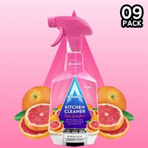 영국 아스토니쉬 루비로망향 주방청소세제 750ml 9팩
