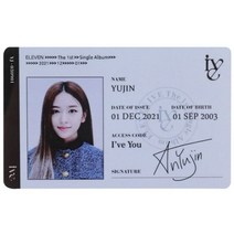 1 개대 KPOP IVE ID 카드 Lomo 앨범 LIZ 걸스 그룹 일레븐 팬 컬렉션 선물 엽서 사진, OSS26122KP6
