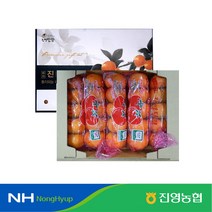 [진영농협] 진영단감 5kg 2S-L, [진영농협] 단감 5kg 2S (35내)