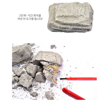 에코에듀 어린이 공룡 화석 발굴 키트 종류랜덤 1+1, 2세트
