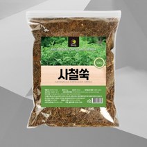 사철쑥 국내산 인진쑥 쑥 인진호 쑥효능 쑥차 약쑥 활용 건강차 500g
