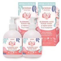 소프리스 핸드 스크럽 워시 280ml x 2 휴대용 손세정 핸드솝 비누