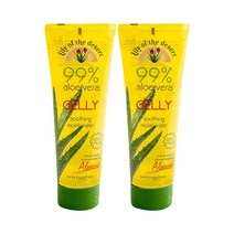 릴리오브더데저트 알로에베라 젤리 수딩 모이스처라이저, 228ml, 2개
