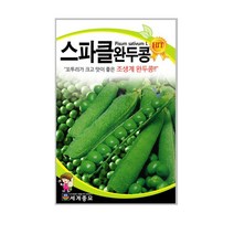 세계종묘 스파클완두콩씨앗 40g