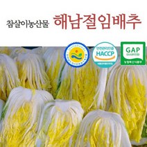 전남도지사인증 해남절임배추 20kg 예약주문 [HACCP GAP], 도착일자:12월12일(월) 도착예정