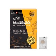 상아제약 로얄 프로폴리스 90p, 90정, 1개