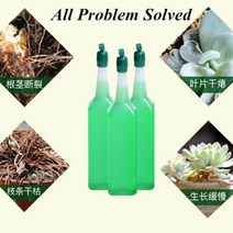 정원 원예 복합 비료 38ml 수경 식물 영양 용액 녹색 대나무 엽면 화분
