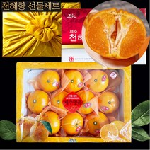 제주 서귀포 고당도 천혜향 천리향 2.5kg 4.5kg 제철 선물세트 산지직송, 천혜향 2.5kg 고급 선물용 7-13과