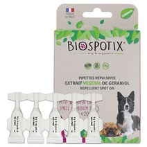 (소형견용) 몸에 바르는 천연해충방지제 강아지용 바이오 강스, 5매입, 1ml