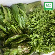 친환경 GAP 유럽샐러드 모듬쌈 모듬채소(그린스팜), 모듬샐러드 2Kg, 1개