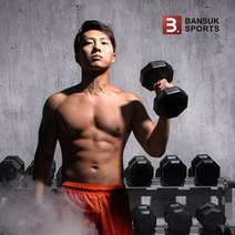 [반석스포츠] X아령 3kg/한쌍/팔각아령/PVC코팅/아령/덤벨/바벨, 1개