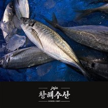 제주어가 명품 전갱이 대, 1kg