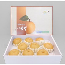 명품 과일 나주배 햇배 가정용 상품 5kg 5-7과
