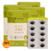 휴럼 비너지 은행잎 기억력 식물성 3박스  1 무료증정, 단품, 단품