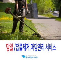 마당잡풀제거 묘지잡풀제거 산소잡풀제거 화단잡풀제거 벌초대행금액 벌초대행비용 사초작업 사초대행 사초비용 거재벌초대행 강원도벌초 영주벌초 보은벌초대행