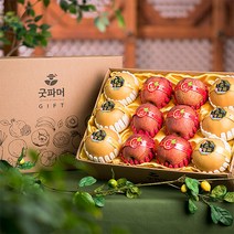 설 과일 선물세트 사과 배 각 6과 총 6.2kg내외 혼합 설날 명절 선물세트
