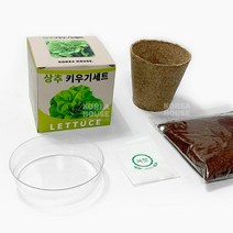 식물키우기 상추 키우기세트 씨앗 베란다 이동식 식물화분