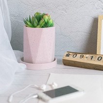 cocooning Design 아파트 안방 거실 테이블 가정용 고급화분, 핑크