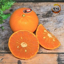 맛가득 프리미엄 제주도천혜향 3Kg 5Kg 10Kg 선물용 가정용 황금향천혜향 레드향 한라봉, 고당도 타이벡 감귤 M (47-59과) 5Kg, 1개