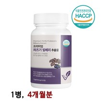 프리미엄 루테올린 차즈기 차조기 차지기 추출물 정 식약처 해썹인증 눈엔차즈기 자소엽 국산100%차즈기 유기농빌베리 복합추출물정 보라색깻잎 무부형제