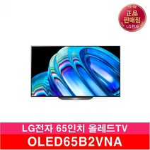 LG전자 올레드 TV OLED65B2VNA LG물류직배송, 벽걸이형
