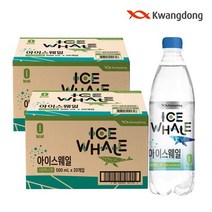 광동 정상가22900광동 아이스웨일 탄산음료 500ml x 40pet 샤인머스켓