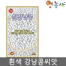 흰강낭콩씨앗 100립, KS흰강낭콩