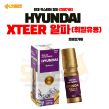 현대 엑스티어 연료첨가제 전문가 가솔린용