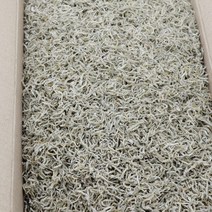 [동해청정] 남해산 지리멸치 세세멸치 아이반찬용, 1박스, 1.5kg 중품