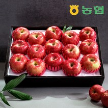[대구경북능금농협] [농협] 정품 안동 사과 선물세트 프리미엄 1호 5kg, 상세 설명 참조, 상세 설명 참조
