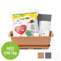 화분월드 베란다 텃밭 상추 야체키우기 뷰티 5호 텃밭세트, 뷰티500 텃밭세트(진그레이)