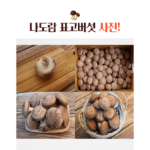 무농약 나도람 표고버섯, 1box, 못난이 1kg