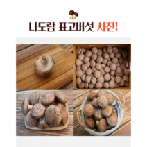 무농약 나도람 표고버섯, 1box, 특상 2kg