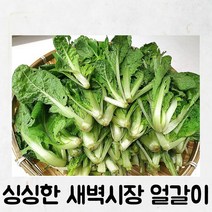 국산 국내산 얼갈이 배추 가정용 업소용 식자재 2kg 4kg 8kg