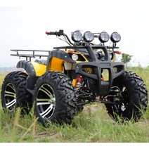 충전식 사륜 바이크 오토바이 산악 ATV 크고 작은 황소 4 륜 오프로드 성인 전 지형 차축 연속 가변 속도 구동, [01] 작은 황소 정식 하나