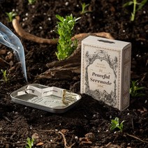 옵타움 / 페이퍼 인센스(48회분), 포레스트 드림, 1개