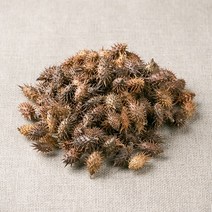상세설명참고 국산 도꼬마리(창이자) 100g 도꾸마리 독고마리 도쿠마리 한약재, 12XN_국산도꼬마리(창이자)100g, 12XN_국산 도꼬마리(창이자) 100g