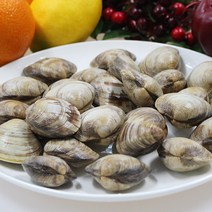 두팜 상합 1kg 20~25마리 내외(백상합), 백상합 1kg 30알내외