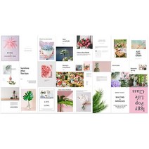 쭈니N뿌꾸 감성가득 인테리어 촬영소품 영자 영문 영어 미국 외국 잡지 4가지 옵션 촬영 소품, 4.Pink coconut