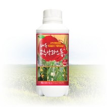 대유 고추 낙과 스톱 250ml 500ml 용량 사과 낙과 방지 착과율 증진 낙화 무름 경감 파프리카 해조추출물, 250ml 1병