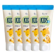 [닥터초이스] 좋은치약 여행용 키즈 2단계 5개입, 5개, 60g