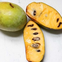 내고향푸드 국내산 포포열매 포포나무열매 1kg