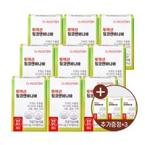 닥터루템 공복 식후 혈당 조절 낮추는 바나바잎 추출물 당뇨 혈행 케어 영양제 정 투액션 징코앤바나바, 30정, 12개, 30정