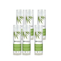 알로에 베라 젤 200ml Centifolia Aloe Vera Gel, 6팩