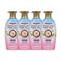 오가니스트 히말라야 핑크솔트 담은 샴푸 두피 스케일링, 500ml, 500g, 4개